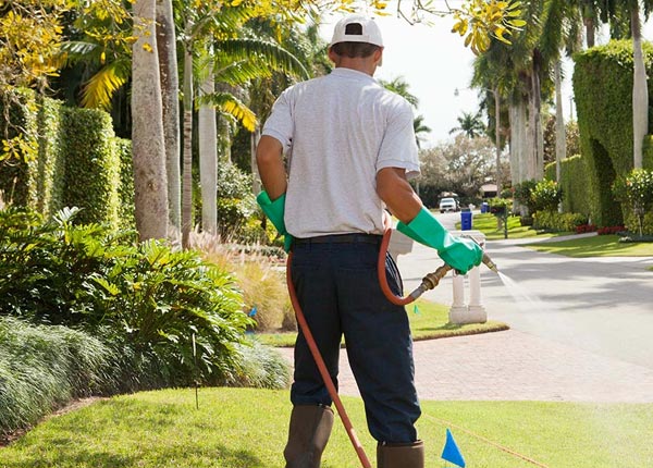About Kingsland AR Pest Control Pros